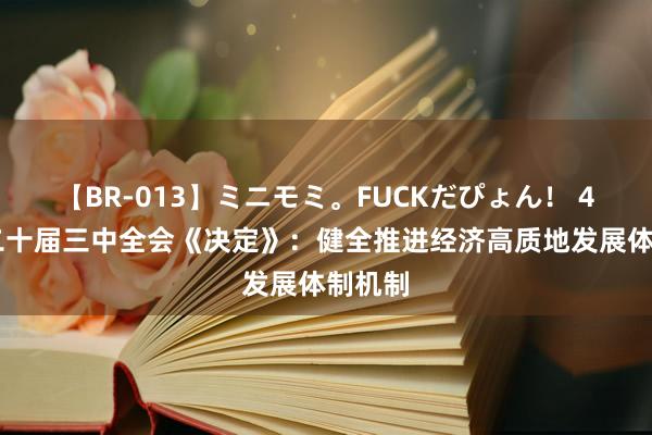 【BR-013】ミニモミ。FUCKだぴょん！ 4ばん 二十届三中全会《决定》：健全推进经济高质地发展体制机制