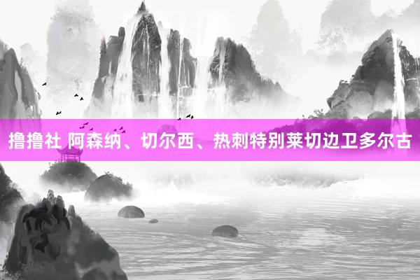 撸撸社 阿森纳、切尔西、热刺特别莱切边卫多尔古