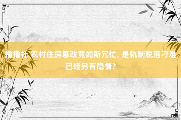 撸撸社 农村住房篡改竟如斯冗忙， 是轨制脱落刁难已经另有隐情?