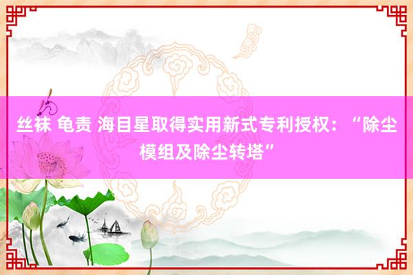 丝袜 龟责 海目星取得实用新式专利授权：“除尘模组及除尘转塔”