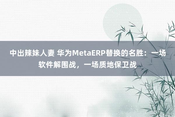 中出辣妹人妻 华为MetaERP替换的名胜：一场软件解围战，一场质地保卫战
