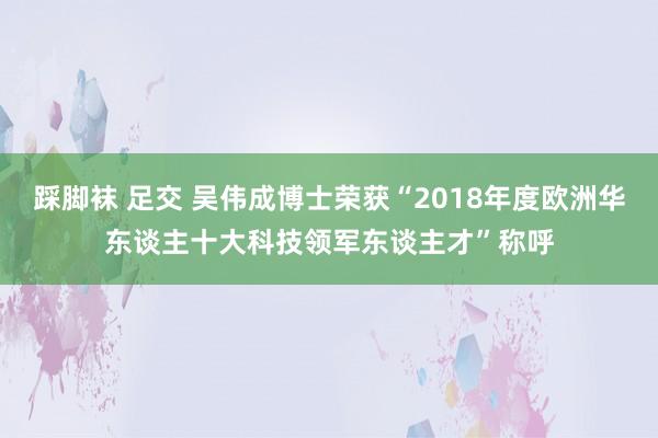 踩脚袜 足交 吴伟成博士荣获“2018年度欧洲华东谈主十大科技领军东谈主才”称呼