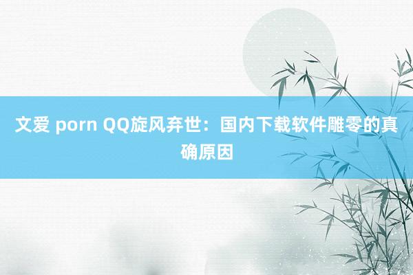 文爱 porn QQ旋风弃世：国内下载软件雕零的真确原因