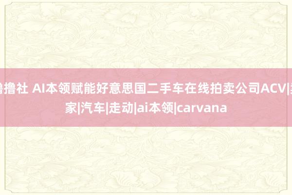 撸撸社 AI本领赋能好意思国二手车在线拍卖公司ACV|卖家|汽车|走动|ai本领|carvana