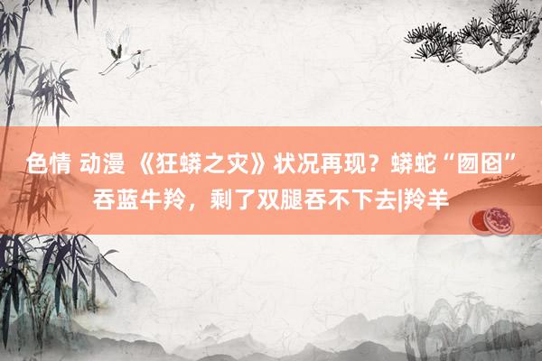色情 动漫 《狂蟒之灾》状况再现?蟒蛇“囫囵”吞蓝牛羚,剩了双腿吞不下去|羚羊