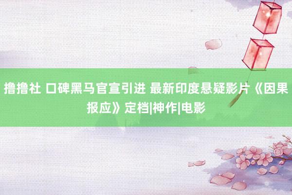 撸撸社 口碑黑马官宣引进 最新印度悬疑影片《因果报应》定档|神作|电影