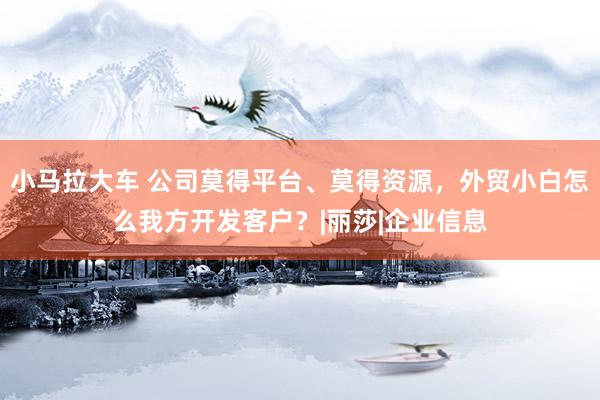 小马拉大车 公司莫得平台、莫得资源，外贸小白怎么我方开发客户？|丽莎|企业信息