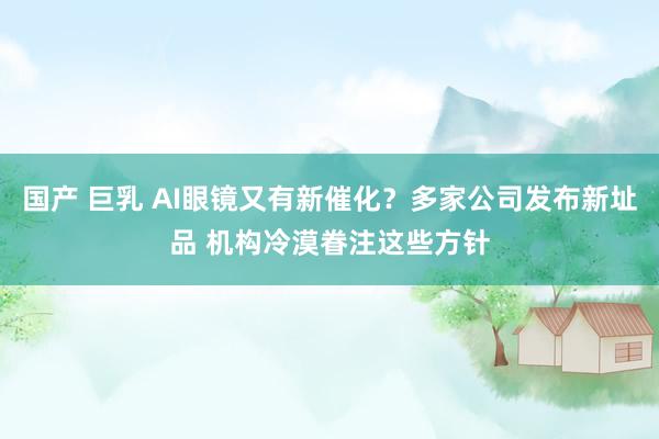 国产 巨乳 AI眼镜又有新催化？多家公司发布新址品 机构冷漠眷注这些方针