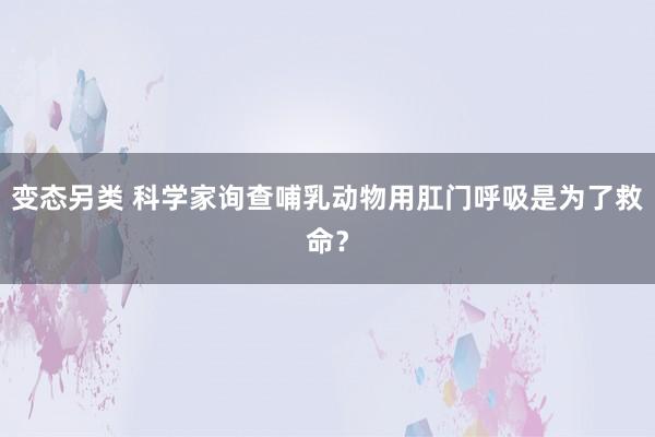 变态另类 科学家询查哺乳动物用肛门呼吸是为了救命？
