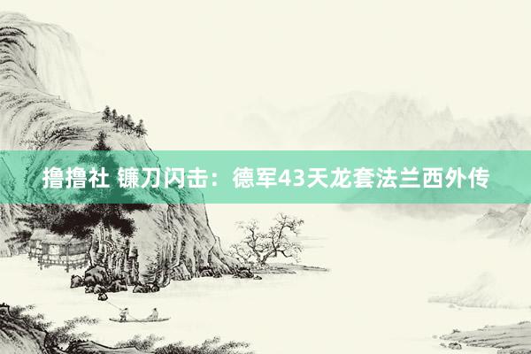 撸撸社 镰刀闪击：德军43天龙套法兰西外传
