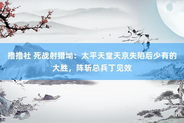 撸撸社 死战射猎坳：太平天堂天京失陷后少有的大胜，阵斩总兵丁见效