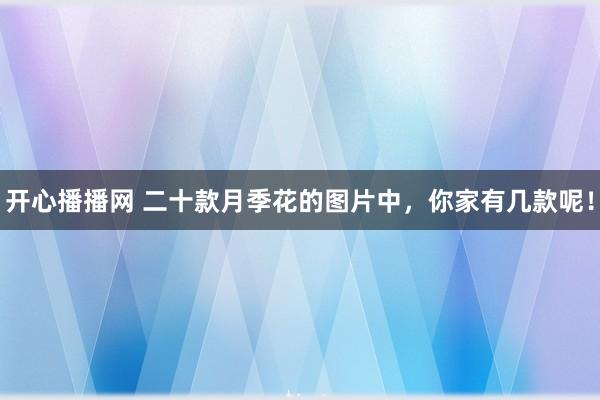开心播播网 二十款月季花的图片中，你家有几款呢！