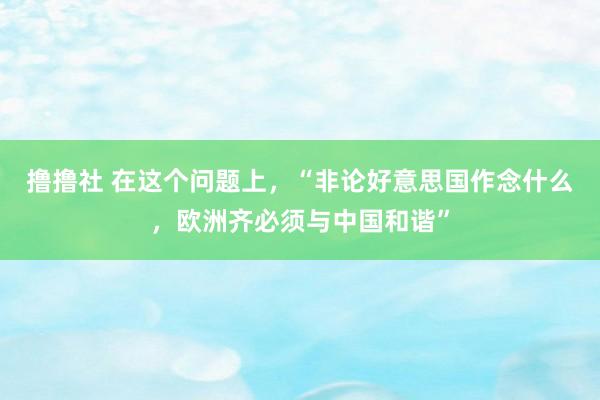 撸撸社 在这个问题上，“非论好意思国作念什么，欧洲齐必须与中国和谐”